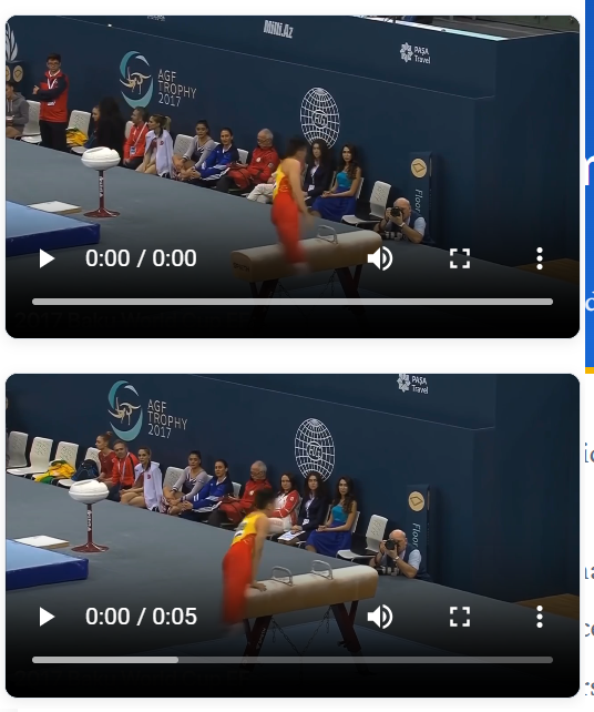 Pommel Horse Elements Overview