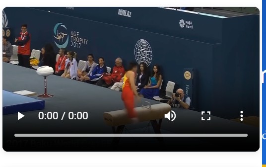 Pommel Horse Element Classification